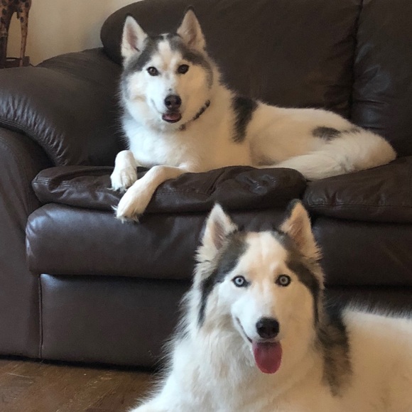 Meet your Posher, Shelley - Picture 9 of 10